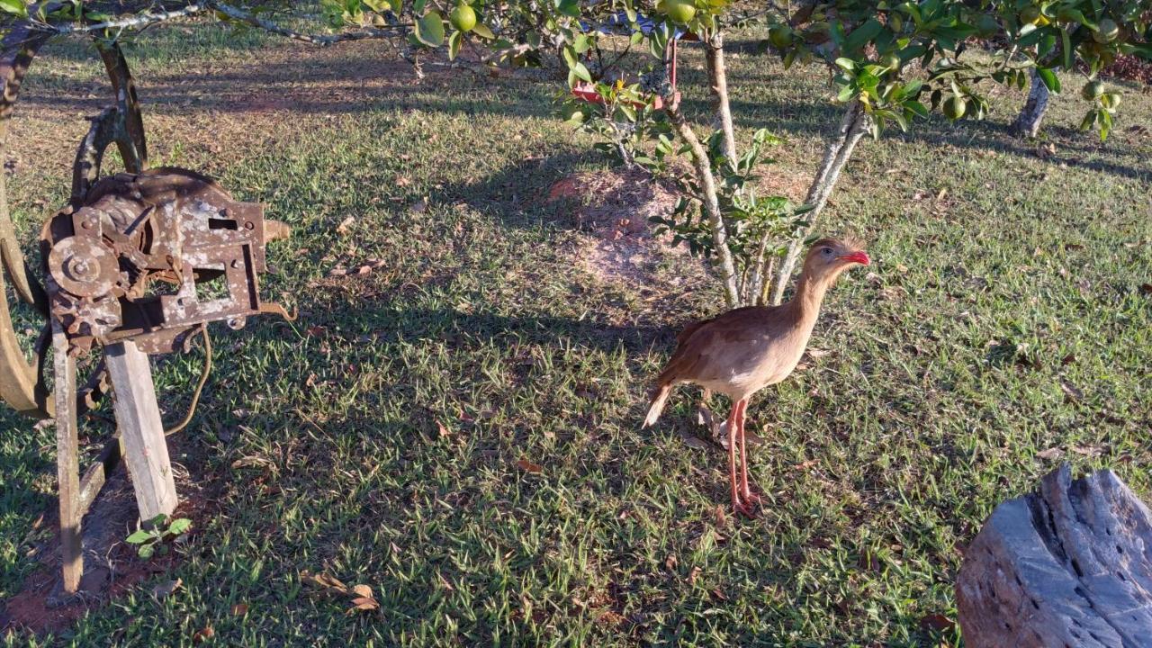 Pouso Da Siriema - Villa Bizuca Tiradentes Kültér fotó